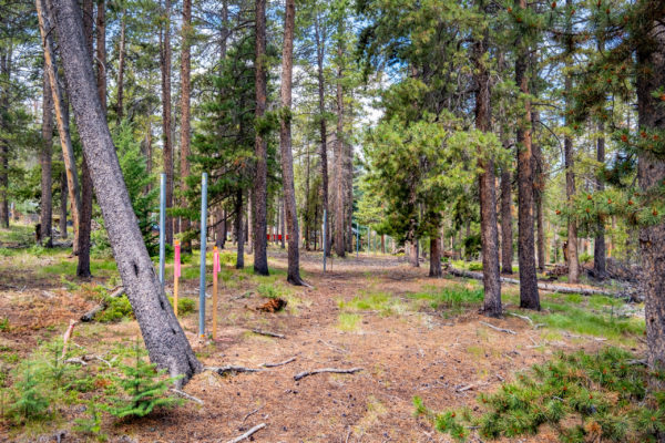 Exterior photo of the property showing a clearing in a wooded area